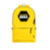 BallroomBees Large BackPack